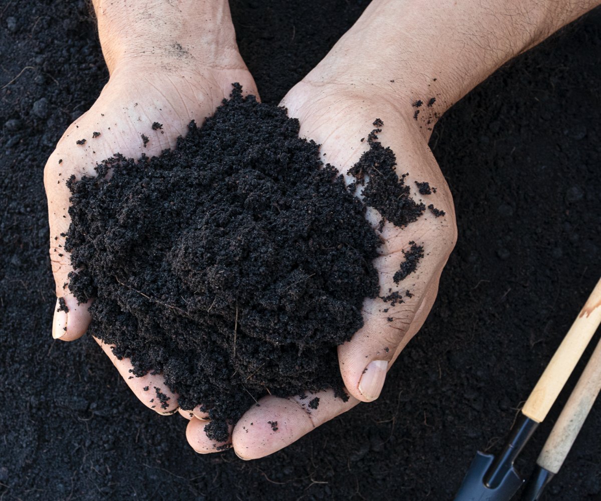 Soil
